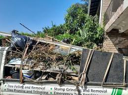 Best Construction Debris Removal  in Lake Ridge, VA